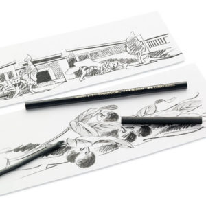 Lápiz carboncillo Pitt Faber Castell