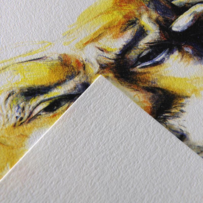 Block Canson C à grain 224 gsm - Imagen 3