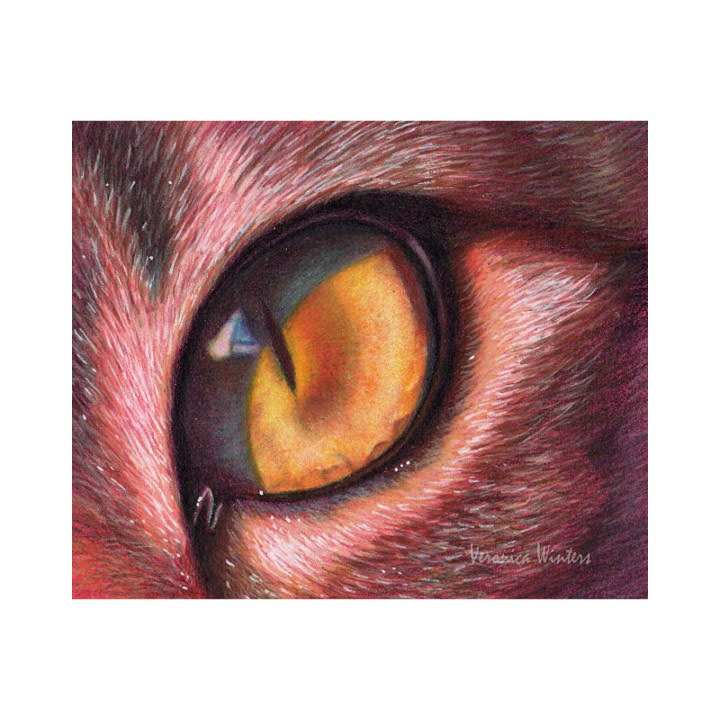 Policromos marrones koh i noor 12und - Imagen 2